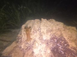 immersioni-estate22 16